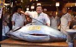 Trả 14 tỉ VND cho một con cá ngừ